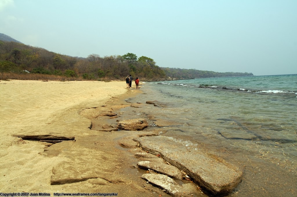 El lago Tanganyika, un mar de agua dulce El lago Tanganyika El lago Tanganyika, un mar de agua dulce El lago Tanganyika