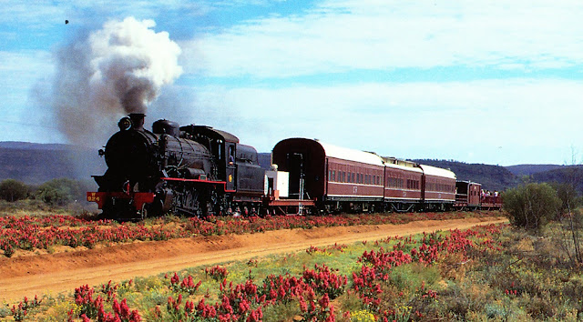 Steam locomotive approaches Alice Springs on the Old Ghan railway