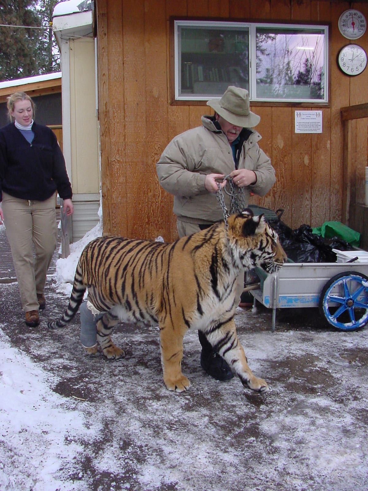 Cat Tales Zoological Park & Training Center