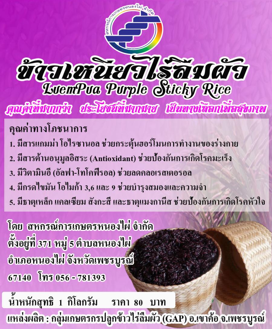 รวมกัน 90+ ภาพพื้นหลัง กรม ข้าว ปรับปรุง พันธุ์ ข้าวเหนียว ลืม ผัว ใหม่ที่สุด รวมกัน 90+ ภาพพื้นหลัง กรม ข้าว ปรับปรุง พันธุ์ ข้าวเหนียว ลืม ผัว ใหม่ที่สุด