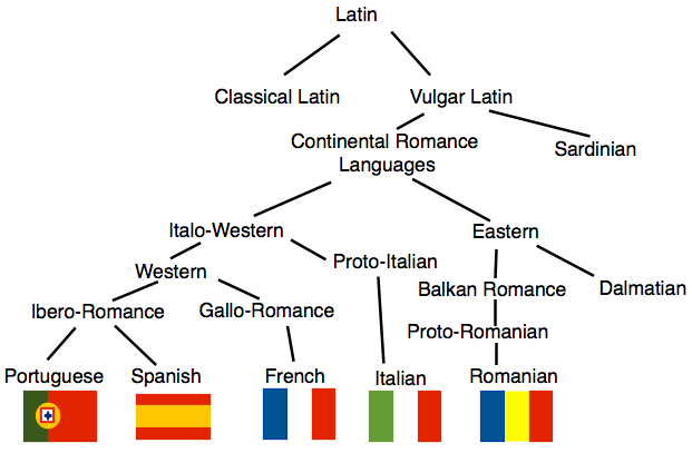 Language To Latin 119