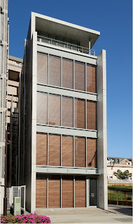 フィヨルド馬 – 多くの才能を備えたクールなスカンジナビア産馬