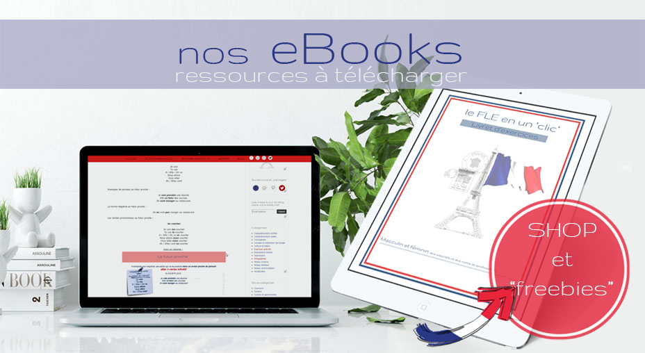 CoursIntensifs personnalises français FLE exercises books download shop