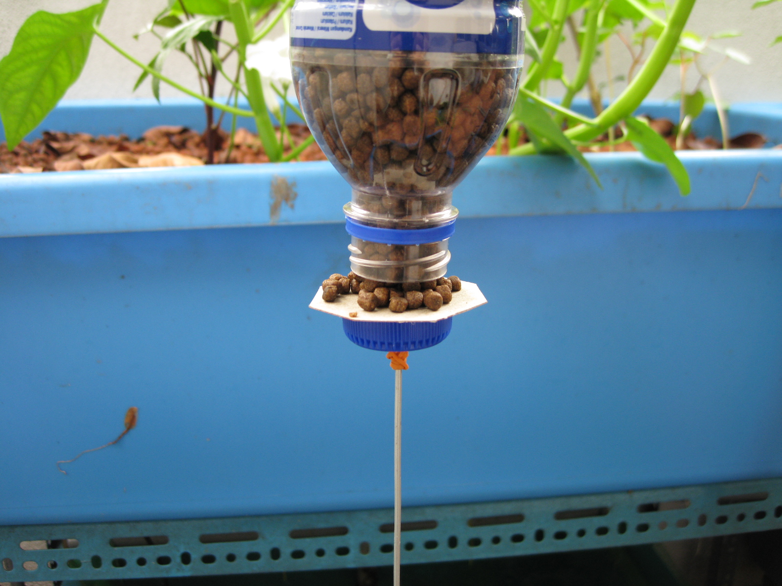 Aska's Aquaponics DIY On Demand Feeder