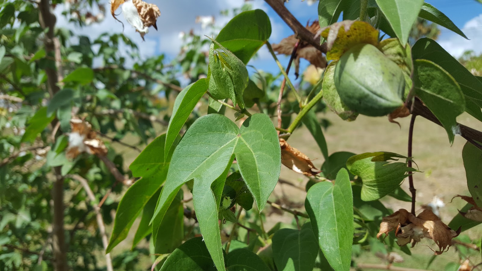 Realityarts Inspiration, Art and Creativity Spinning and weaving