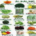 60 Alkaline Foods That Fight Cancer, Inflammation, Diabetes and Heart Disease!