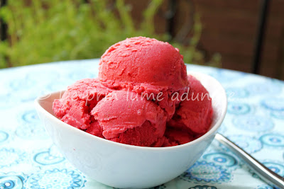 Iaurt inghetat cu capsuni/ Strawberry frozen yogurt
