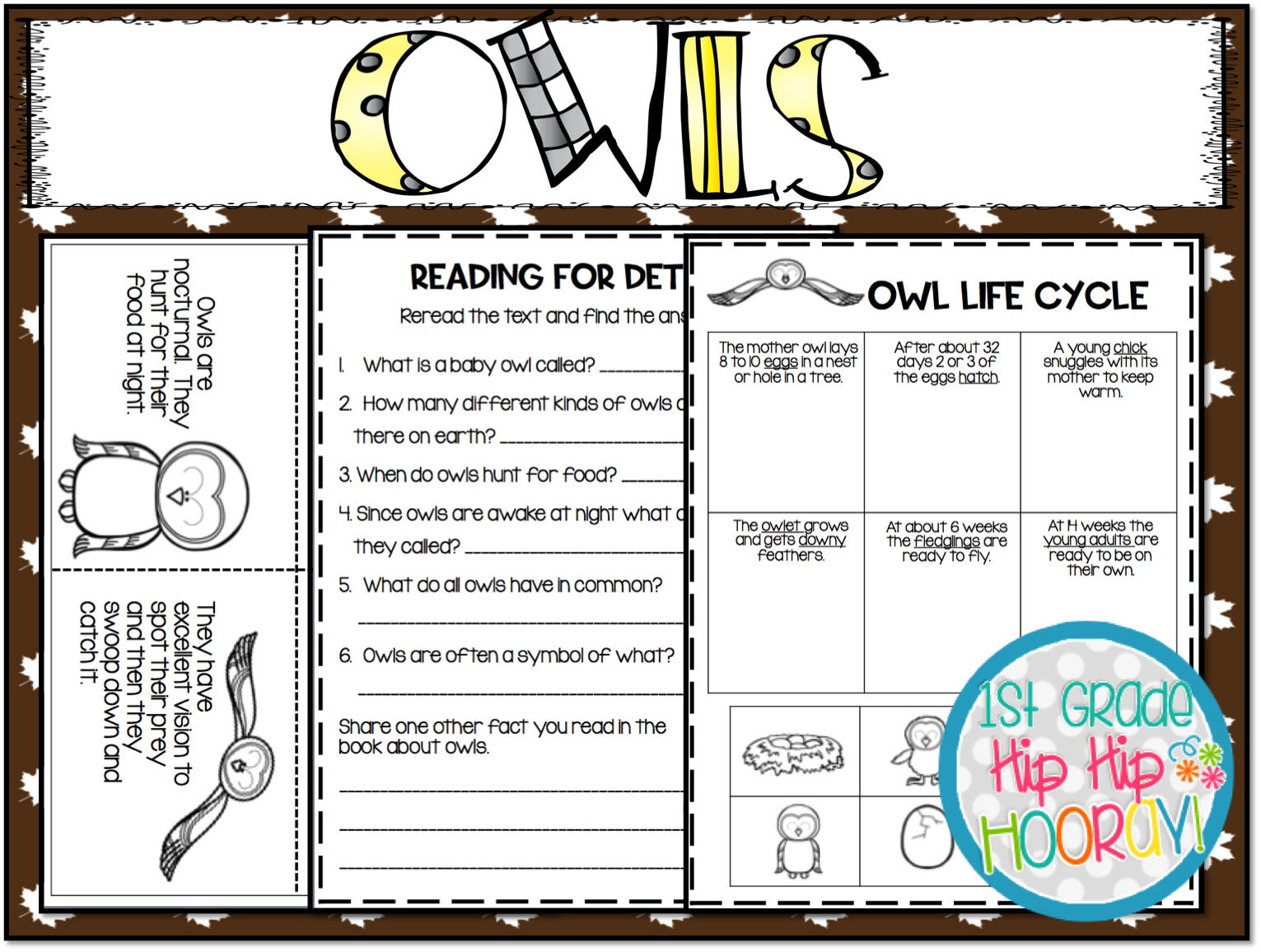 1st Grade Hip Hip Hooray!: Owls...Informational Text, Literature, and
