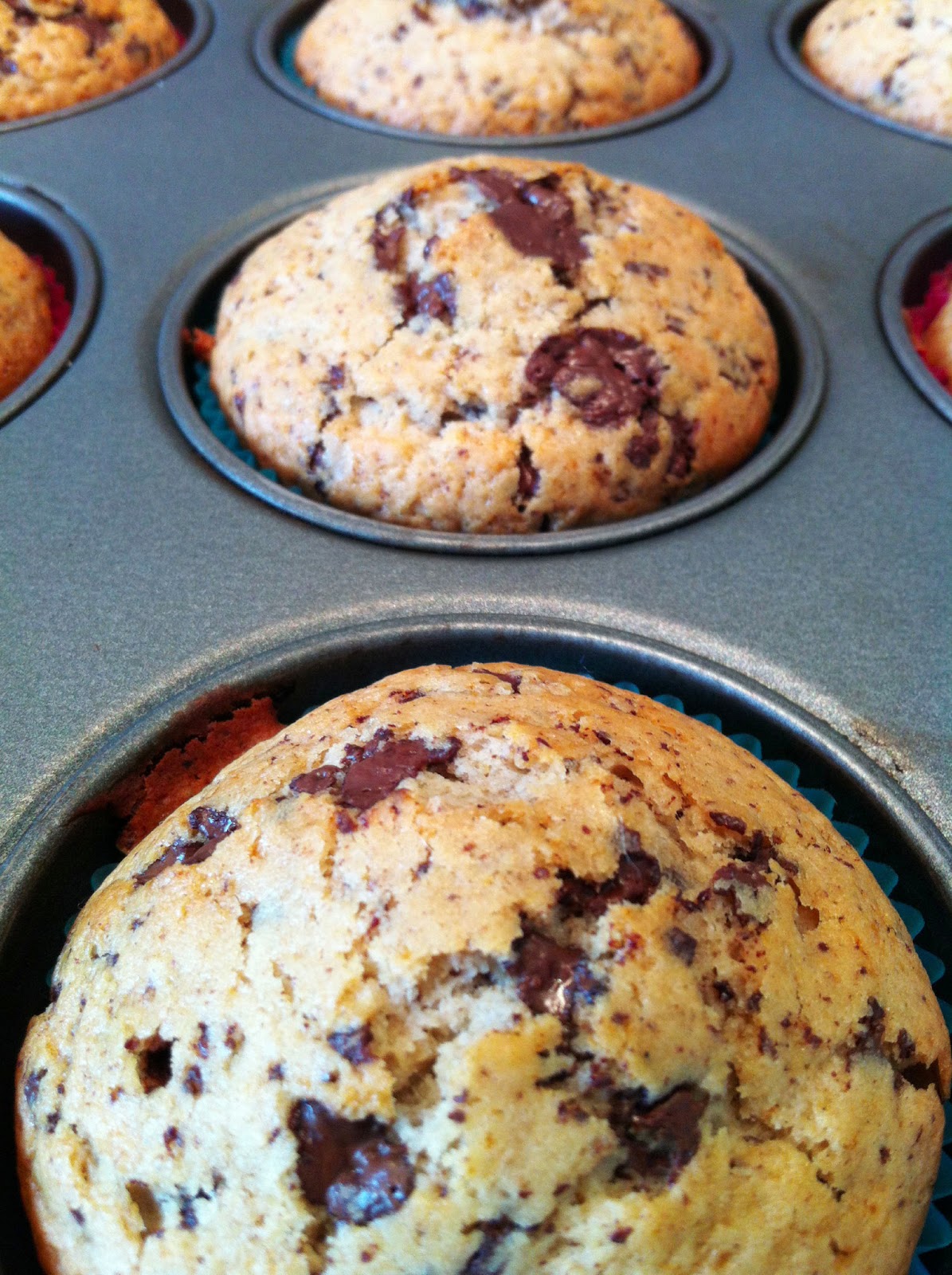 CUISINER BIEN : Vanille Muffins mit Schokostückchen (vegan)