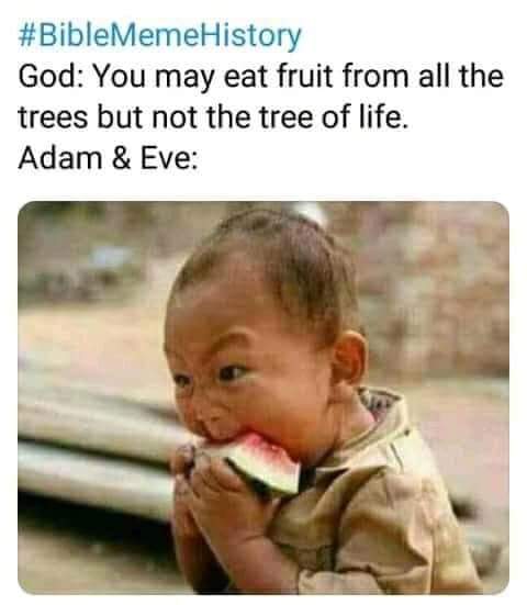 Stella Dimoko : Hilarious Bible Memes.... Stella Dimoko : Hilarious Bible Memes....
