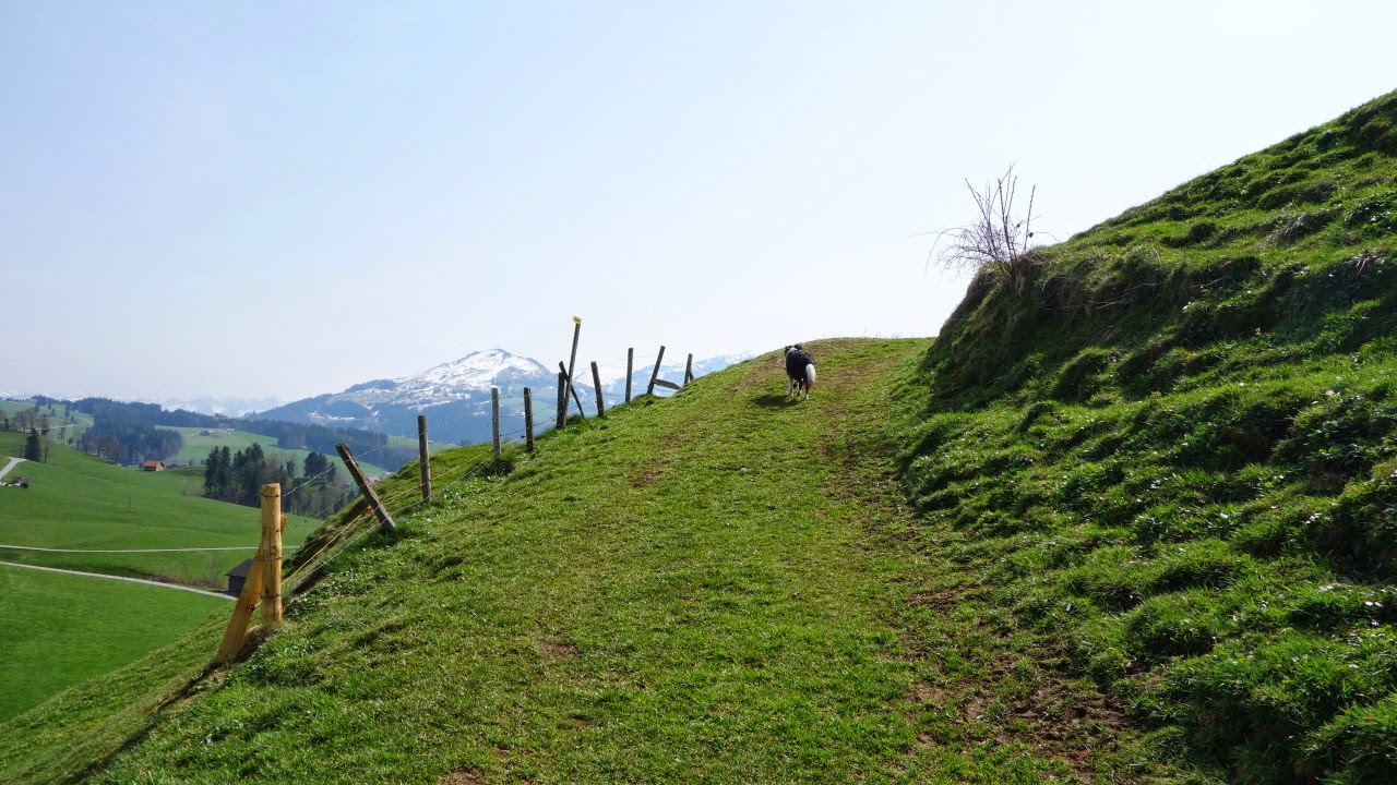 Bilder und Texte zu meinen Wanderungen mit Hund Burgruine Clanx