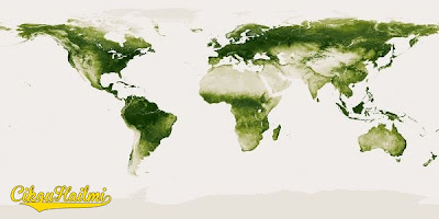Teknologi Baru : Satelit Untuk Kesan Tumbuhan Hijau