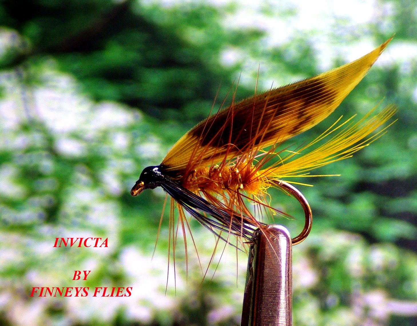 Finney's Flies Irish Lough Flies