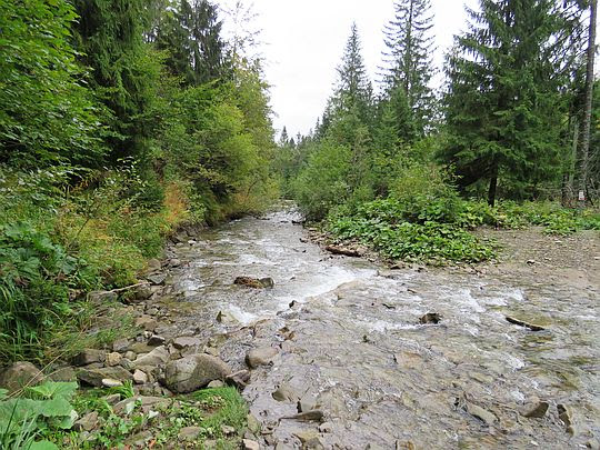 Kamienica. Kamienica.