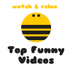 Funny Videos in the World