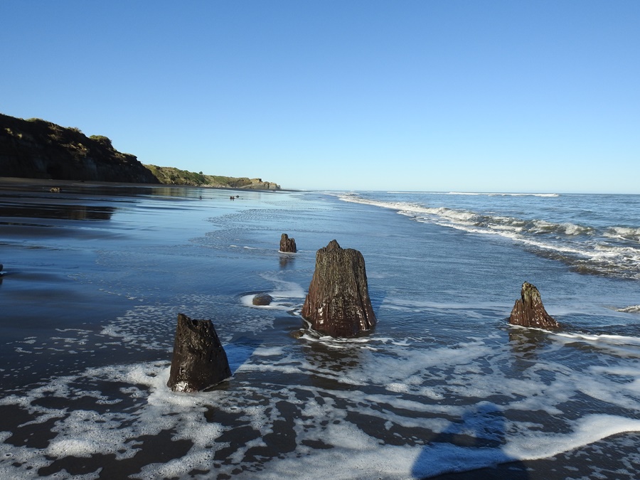 photographing New Zealand long beach, waverley