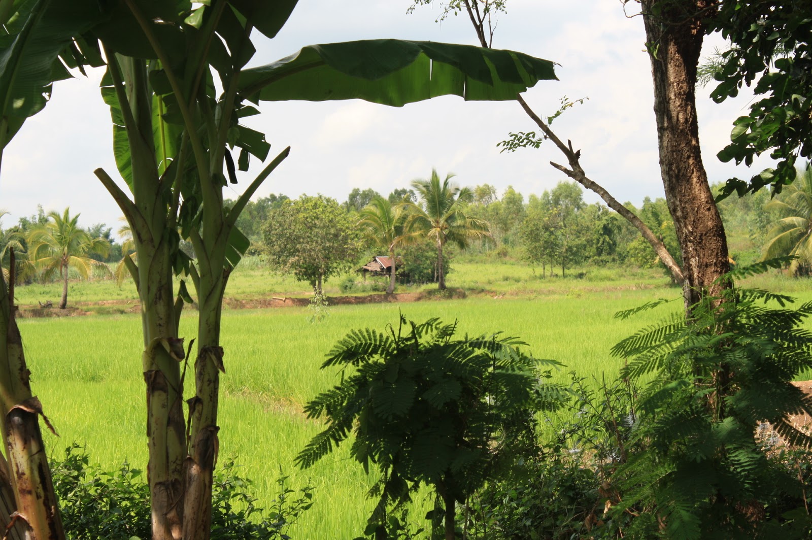 House (property) for sale KHON KAEN Thailand