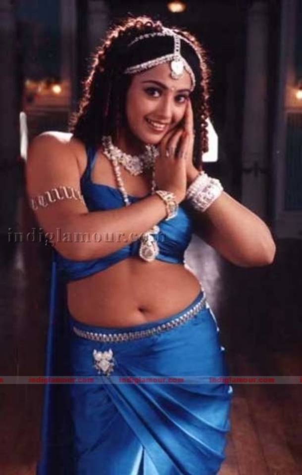 Tamil Telugu Heroine Meena Hot Navel Show Without Saree Hot