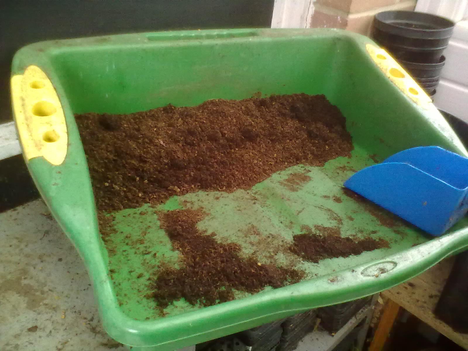 Rachel the Gardener How to water plants in pots that have dried out.