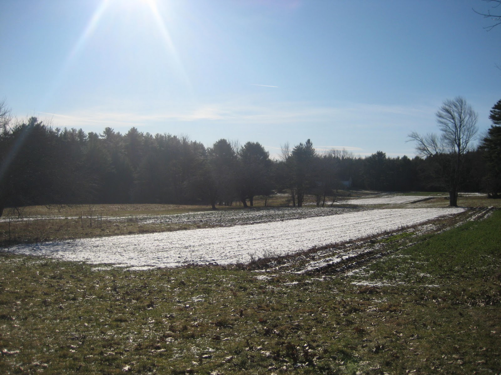Buckwheat Blossom Farm