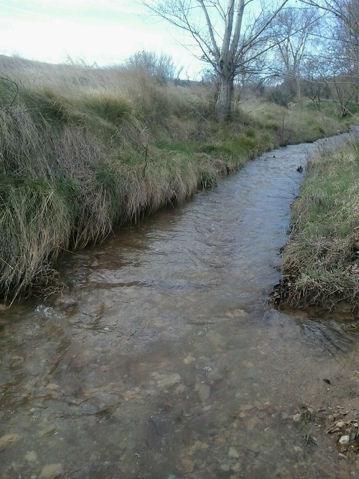 plenas El río Santa María