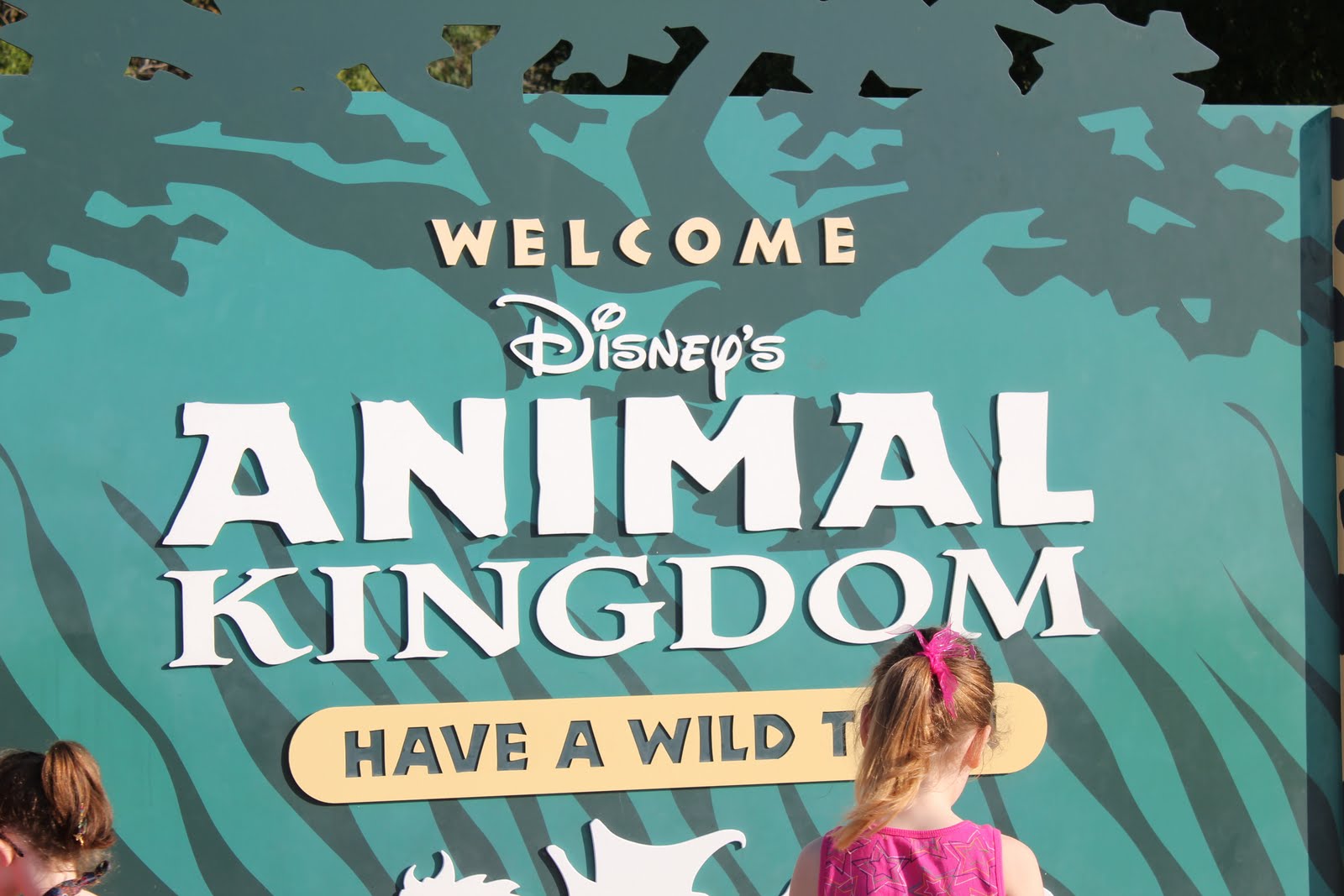 Party of 5 our disney world trip review with a 3 year old and a one