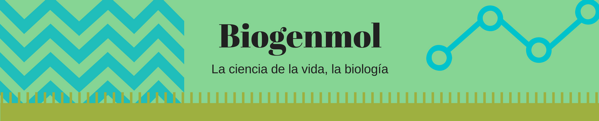 Biogenmol