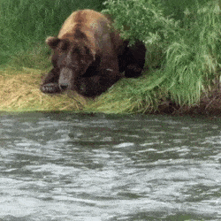 1507785751146889155.gif