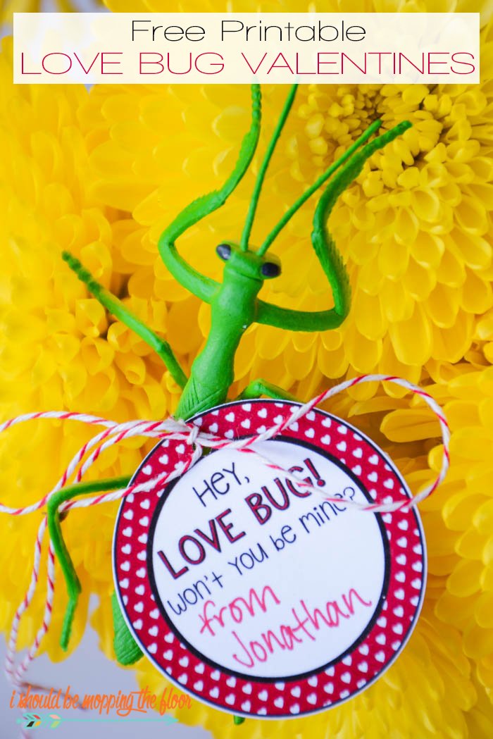 Free Printable Love Bug Valentines | The perfect free printable Valentine for the ones who like all things creepy crawly! INSTANT DOWNLOAD.