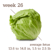 26 week pregnant lettuce baby size
