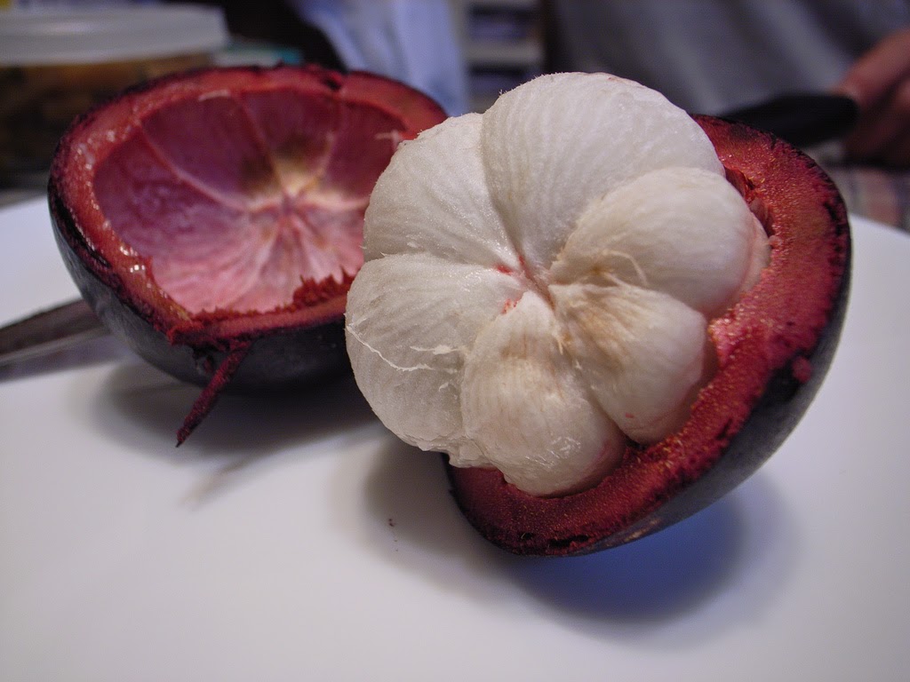 Juice mangosteen rind to treat tumors Brain Damage