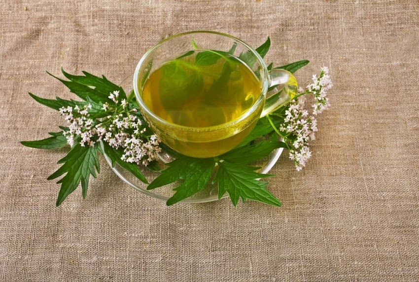 ¿Qué té tomar para relajar el cuerpo y la mente?