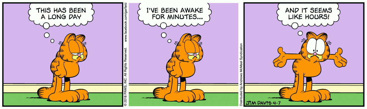 Quadrinhos do Garfield traduzidos com gabarito