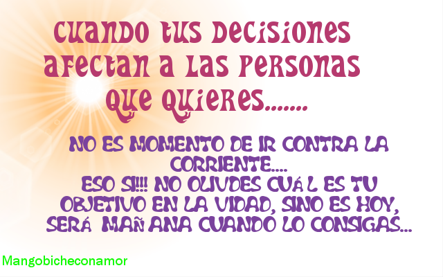 reflexiones mango biche