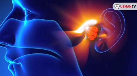 Çocuklarda Geniz Eti Ameliyatı Ne Zaman Gereklidir? Uzman TV