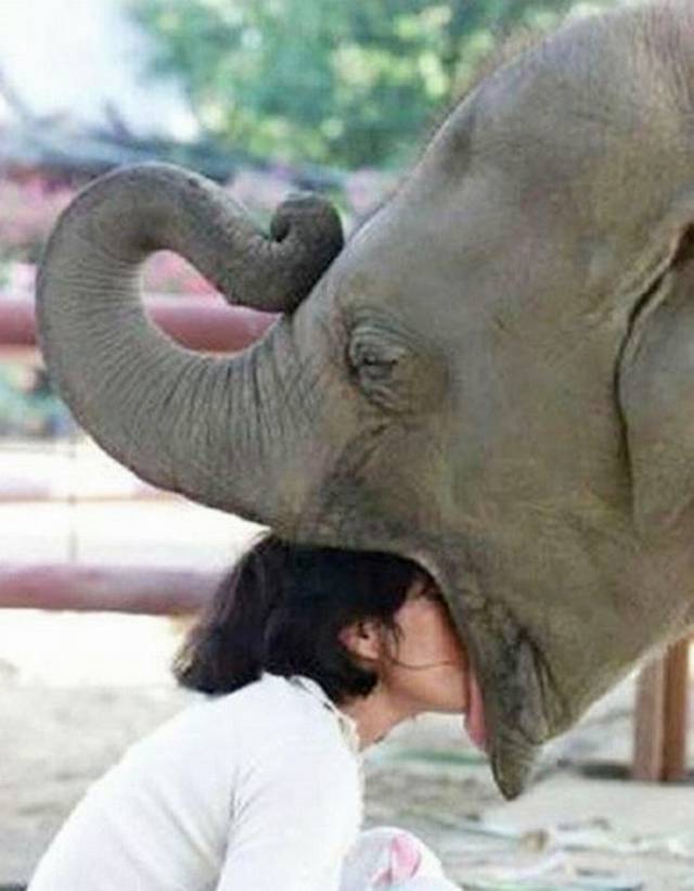Picdump-Ritemail-016.jpg