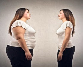 About Obesity, Fat