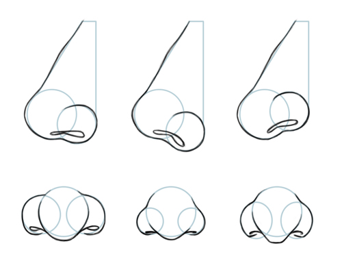 How to draw a nose in 3 easy steps  Anatomy of a Sketch