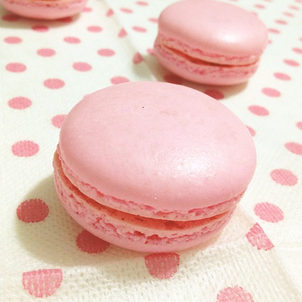 Bella is baking Pink Rose Macarons