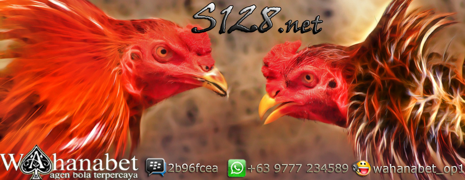 Agen Sabung Ayam Online Indonesia