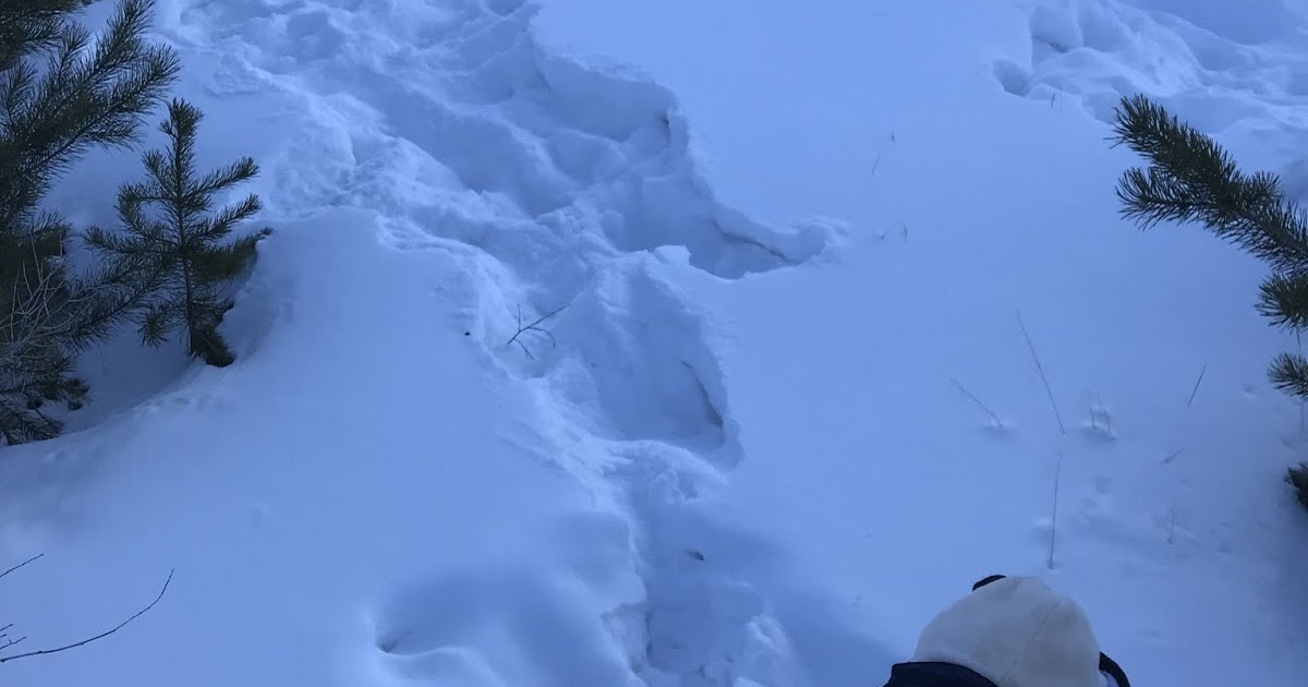 Keeping Up with the Shields Sledding fun in Frisco!