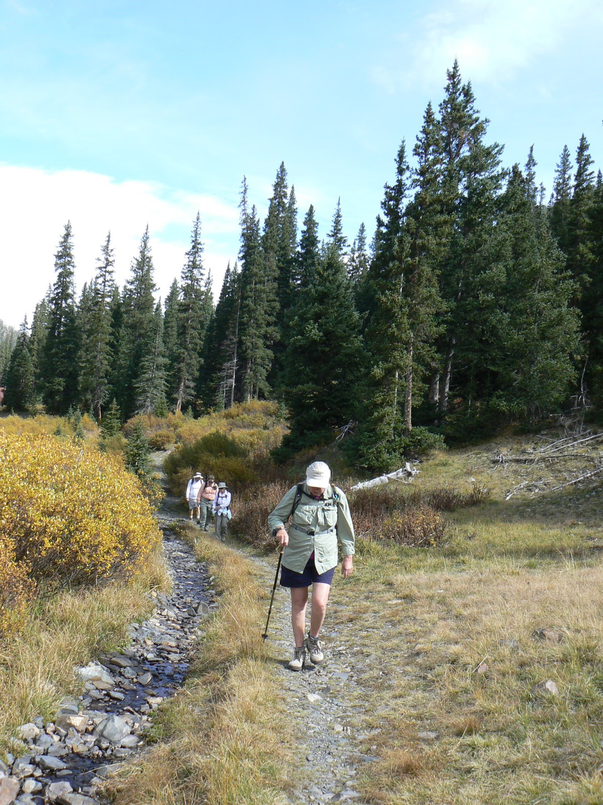 The Hiker Preview French Gulch Hike