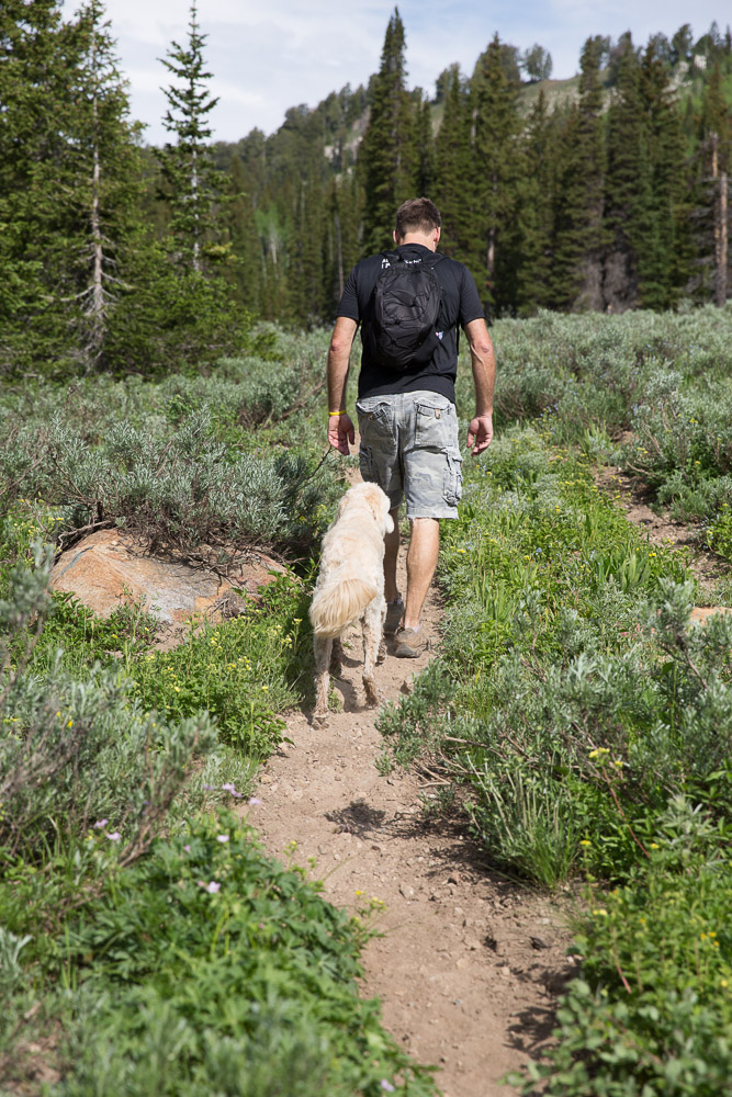 The Garlick Press Steam Mill Hollow