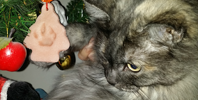 Editor Cat Puts Paw Print Salt Dough Ornament on Christmas Tree