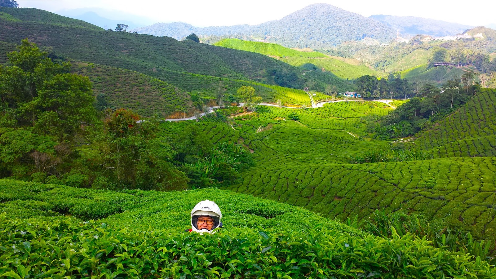 Vaune Phan Cameron Highlands, Malaysia, Here I Come! More than 1,000km