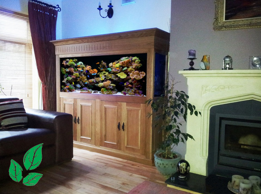 Model Akuarium Model Akuarium