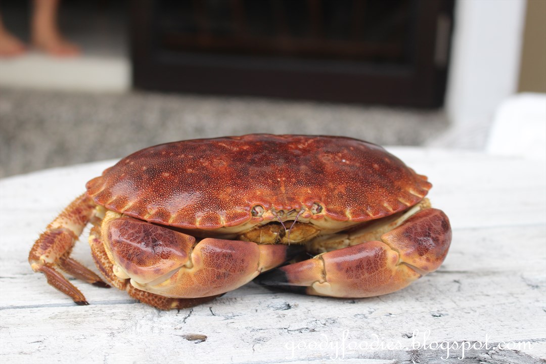 GoodyFoodies Recipe Steamed Dungeness Crab with Chilli Lime Dip