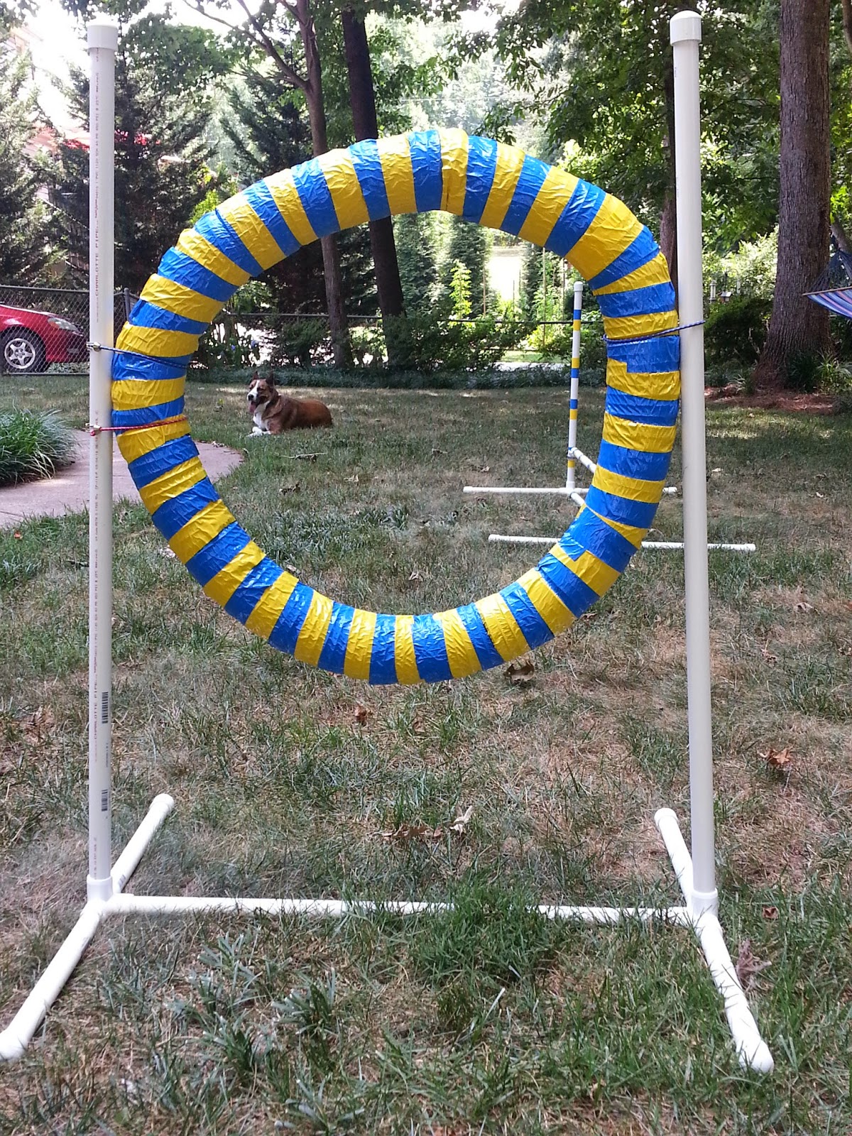 Grace and Buster DIY Agility Equipment Tire Jump