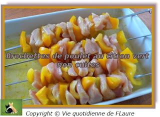 Vie quotidienne de FLaure: Brochettes de poulet au citron vert