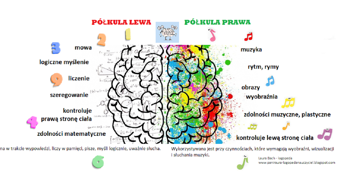 Lewa Półkula Mózgu Dominuje U Osób Które W przedszkolu... i nie tylko: Europejski Dzień Mózgu - 18 marca